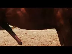دختری در هر ورزشی موفق می شود و پس از هر عکس کیر تو کس و کون موفقیت باید خودارضایی کند یا با دوست پسر خود رابطه جنسی برقرار کند که بندرت از رابطه جنسی خودداری می کند