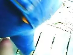دو لارو غالب یک استرپون سکس کیرکس را به نقطه ی آن گره خورده وارد می کنند